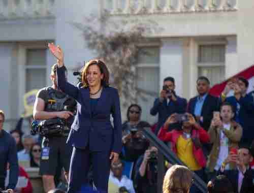 Breaking News: Kamala Harris Pledges Executive Orders for Gun Control? If She Wins 6 Shutterstock