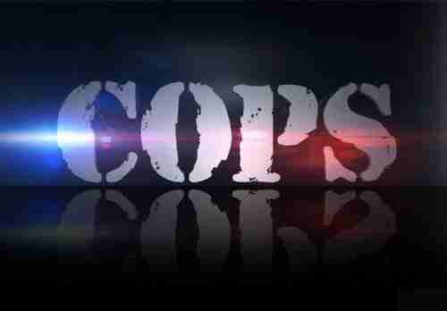 Television Show 'Cops' Canceled After 30 Years 5 SJM L COPSLOGO 0609 01 1.jpeg